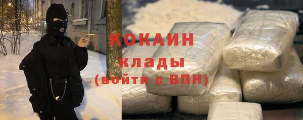 мет Дмитров