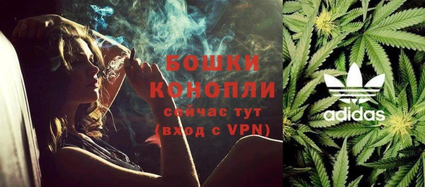 PSILOCYBIN Щигры