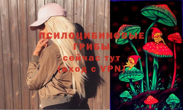 бутират Дмитриев