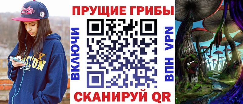 наркота  Няндома  Галлюциногенные грибы прущие грибы 